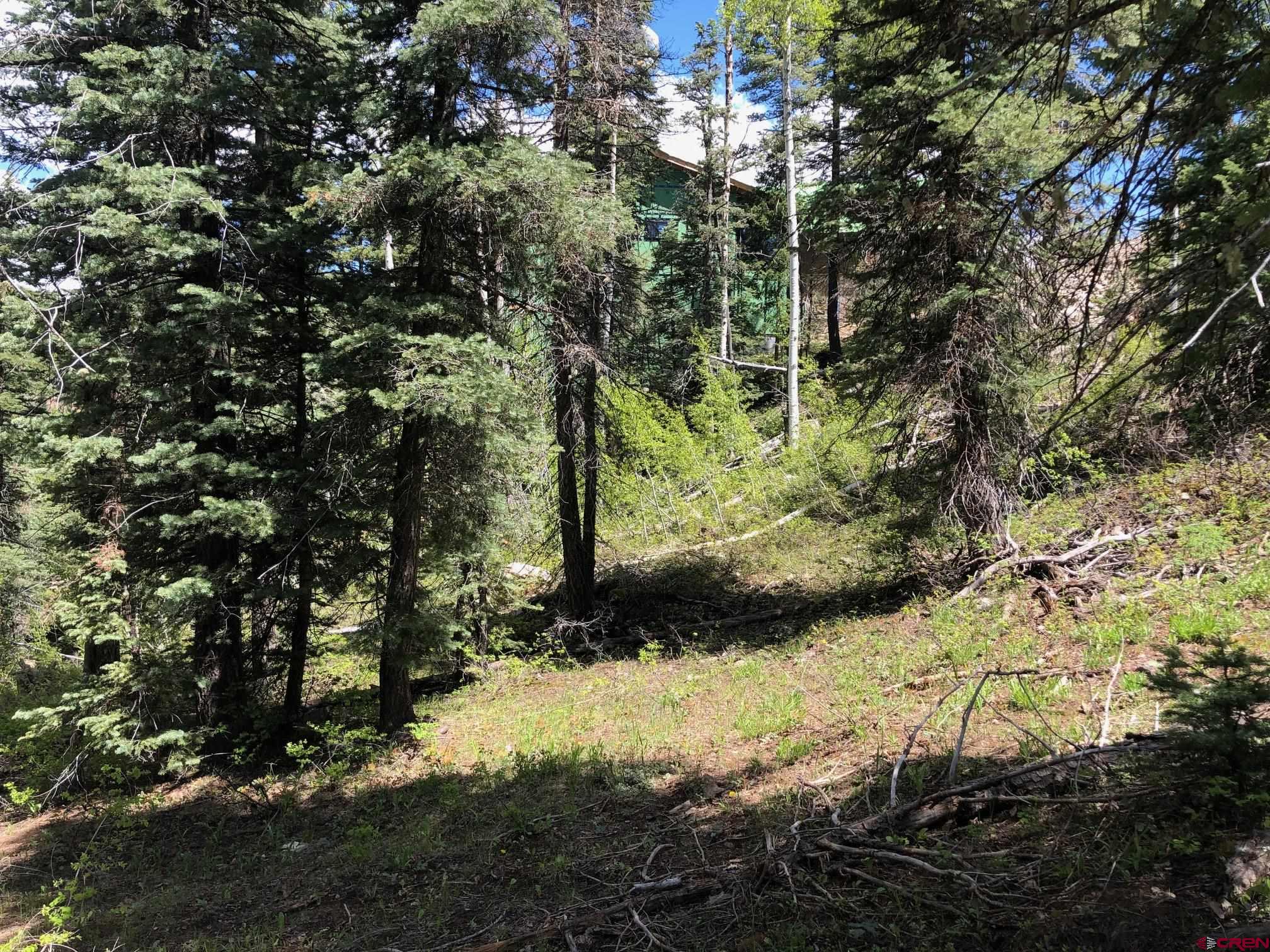 a view of a yard with large trees