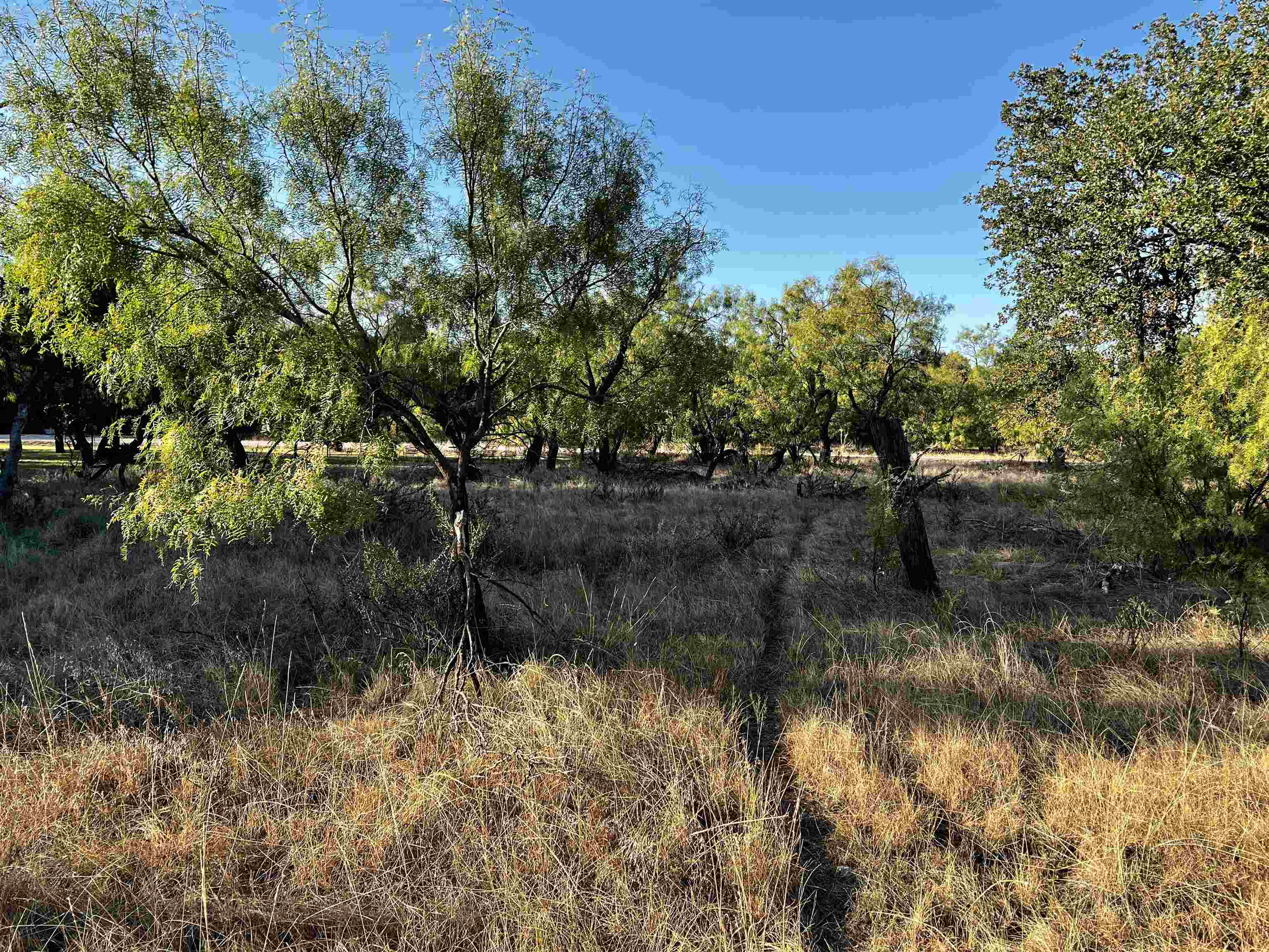 a view of a lake from a yard