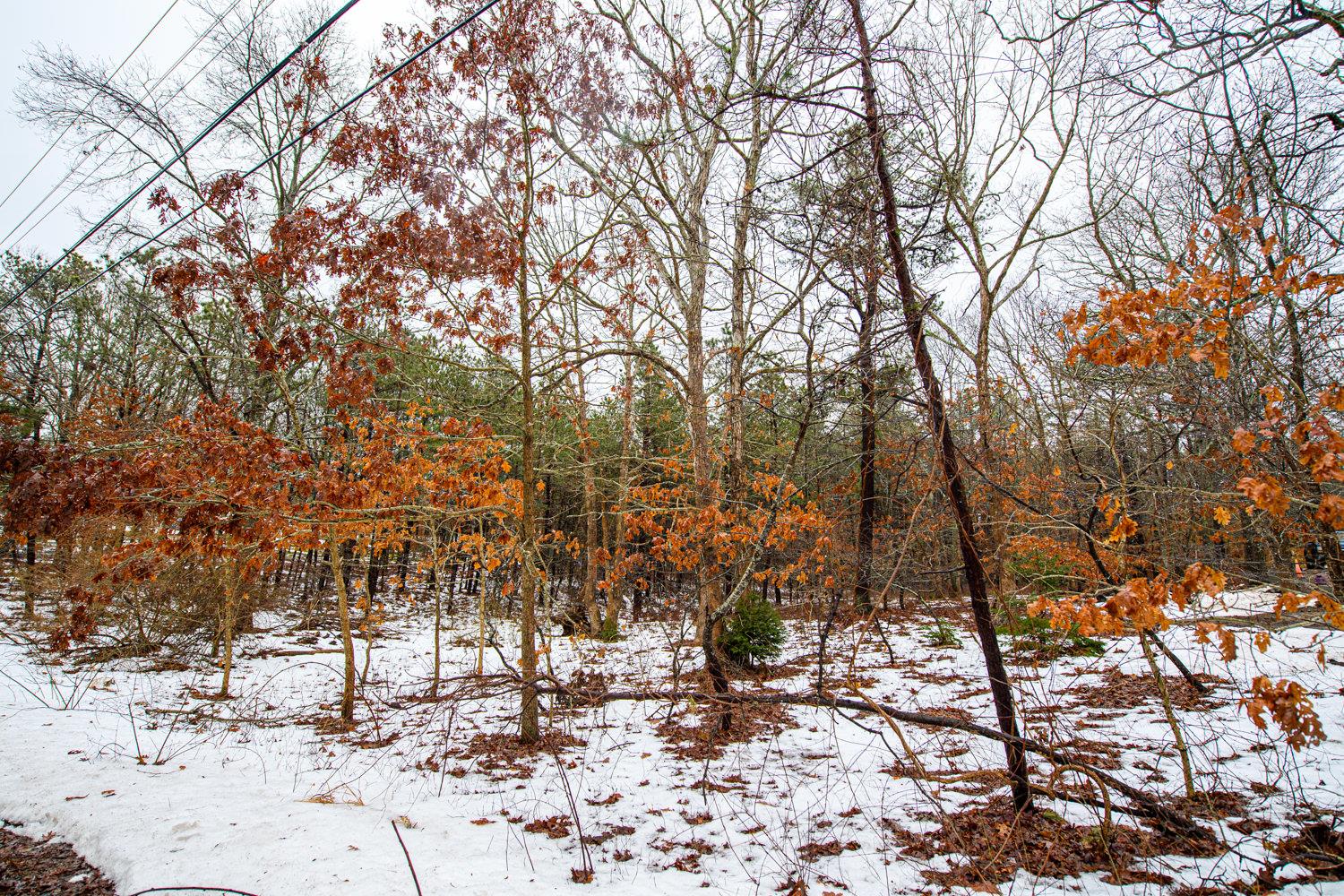 View of snowy view