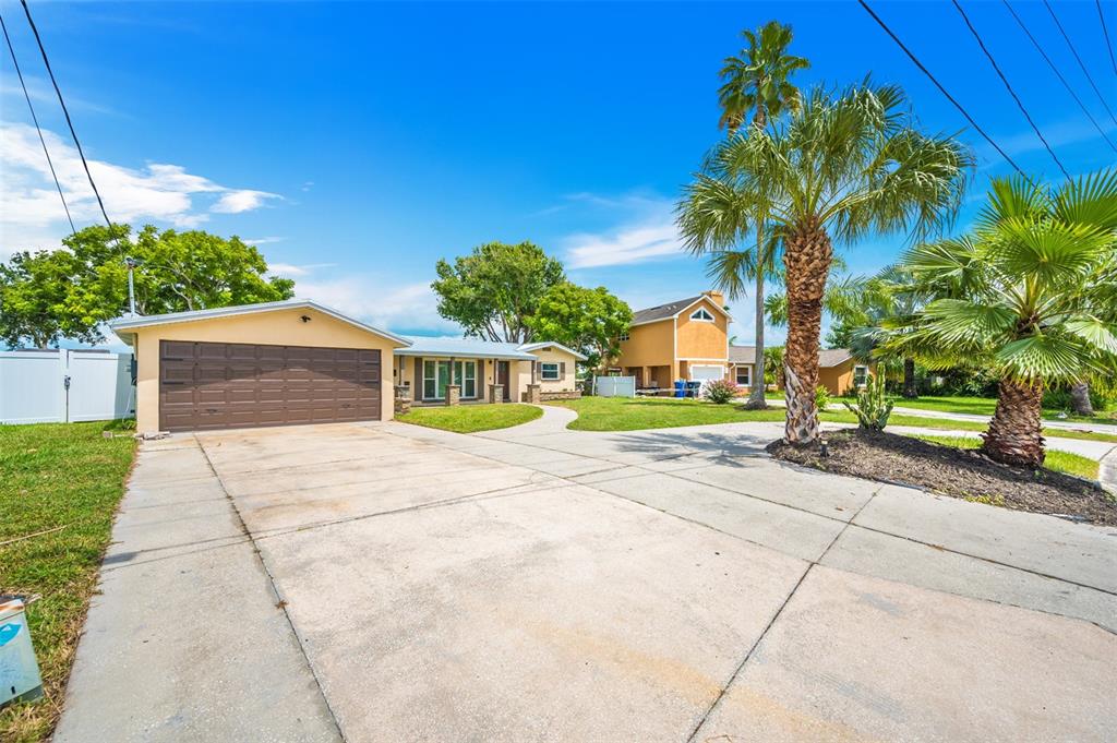 a view of a house with a yard and plants