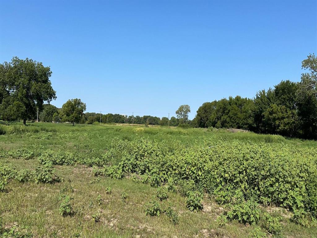 a view of a grassy field with trees