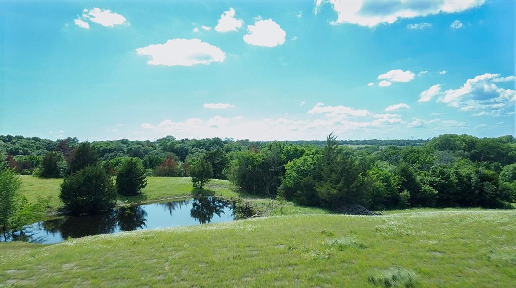 a view of yard with green space