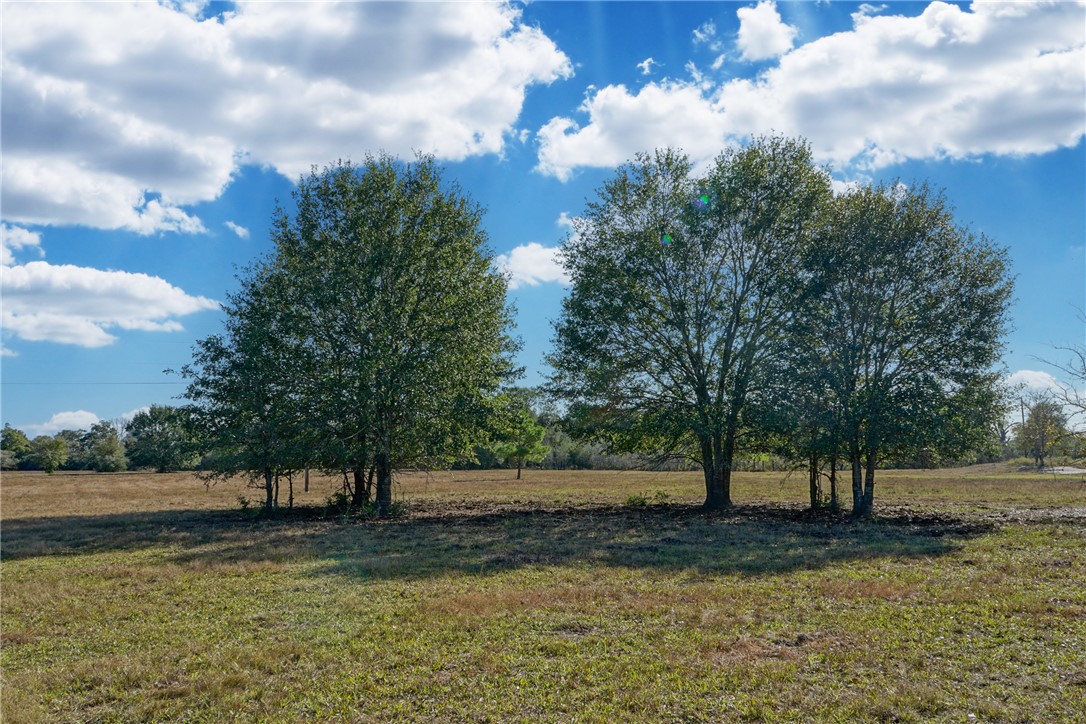 View of yard with a rural view