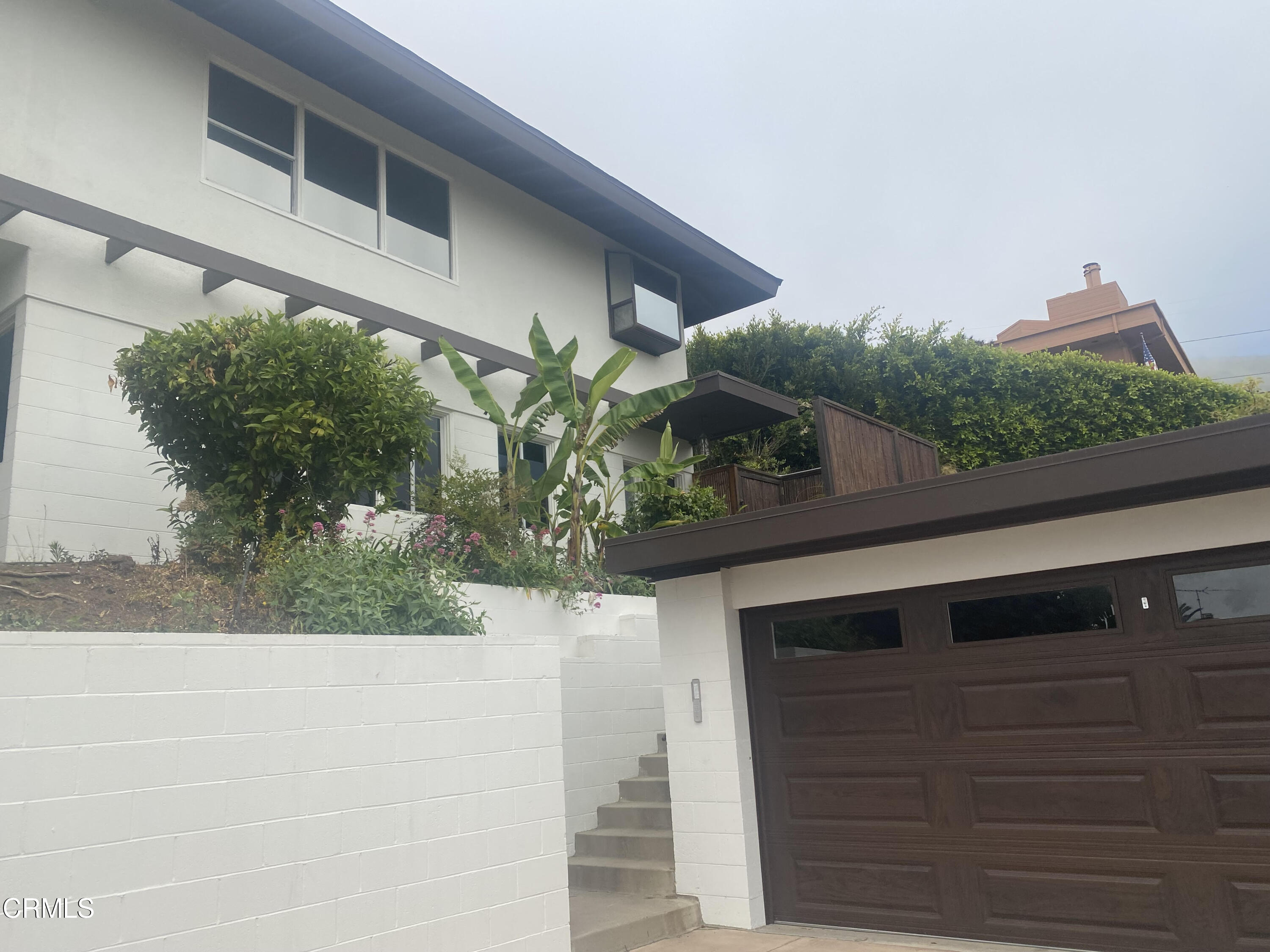 a potted plant is sitting on the side of a building