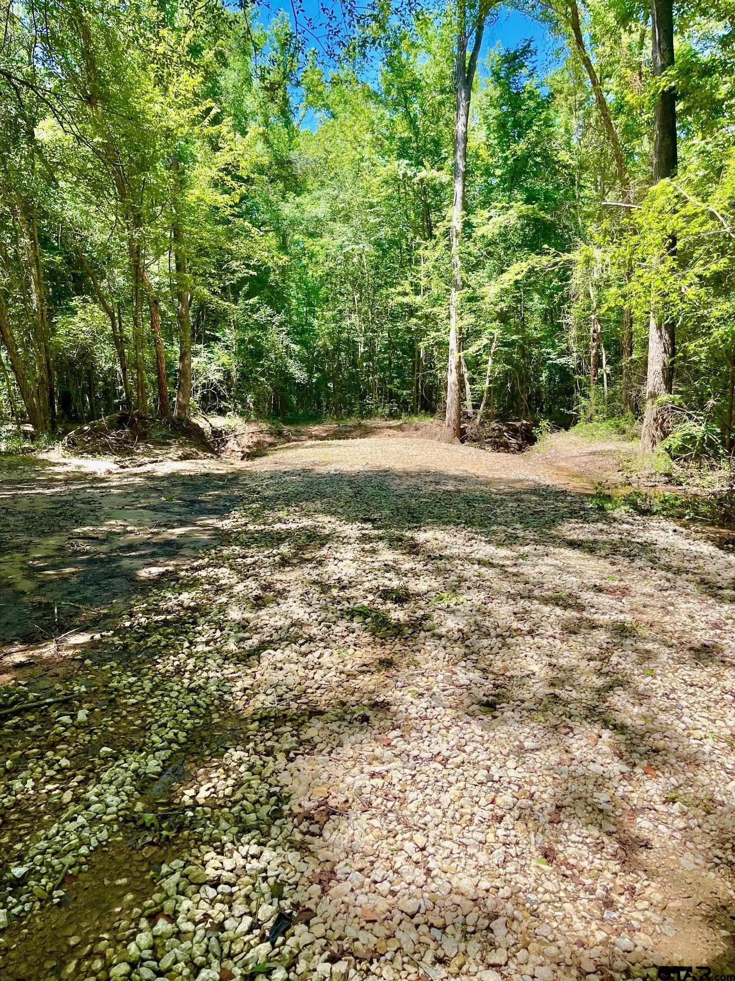 a view of a trees with a yard