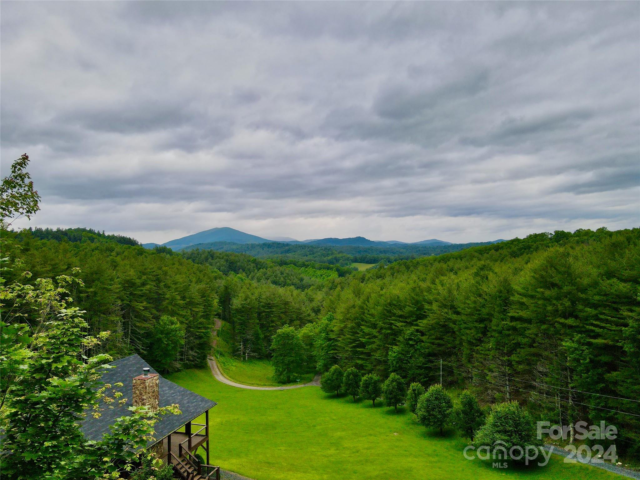 a view of a city with lush green forest