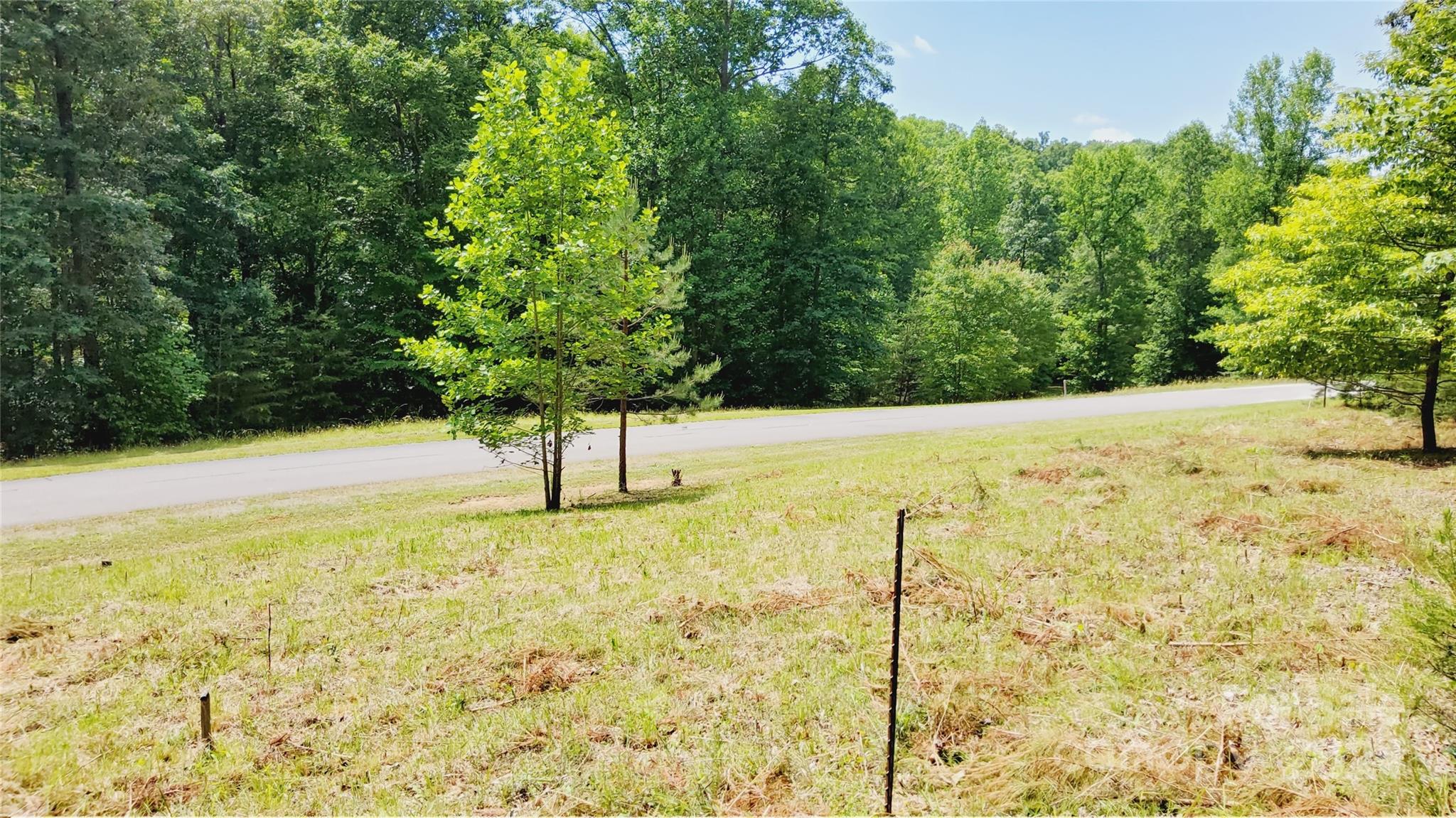 a view of a yard with trees