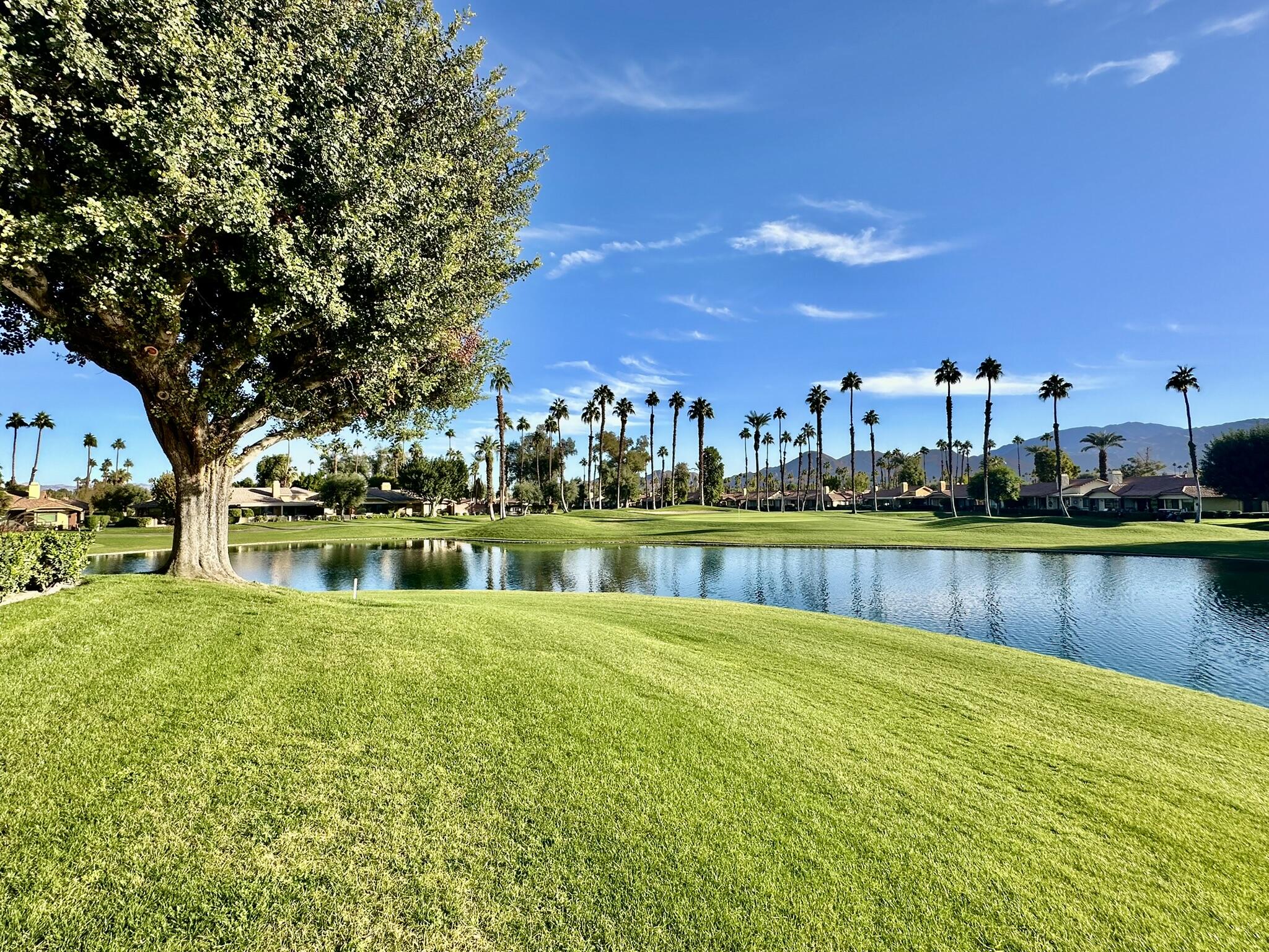 a view of a lake with houses