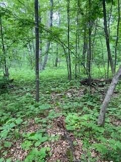 $89,900 | Lot 2 Fawn Lake Road | Breezy Point