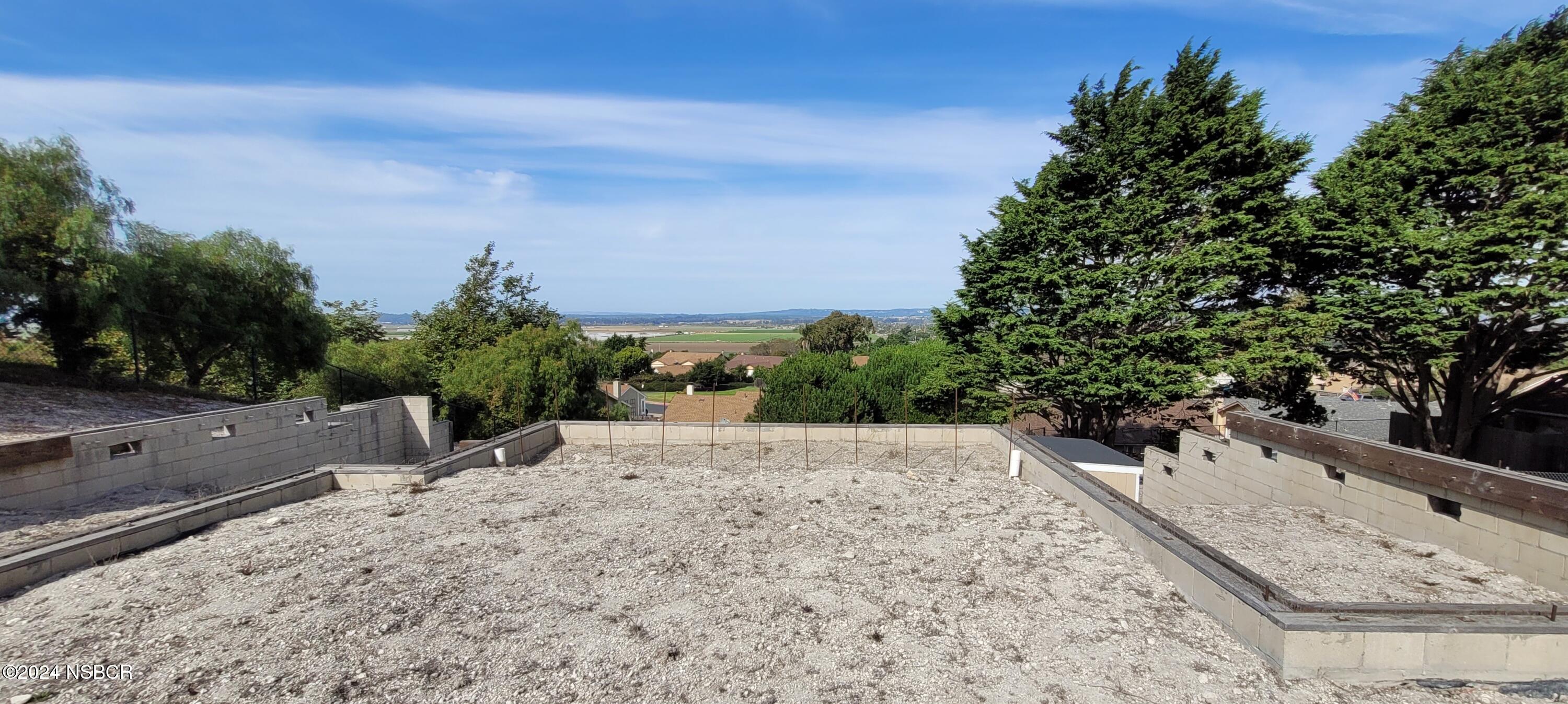 a view of a yard with a tree