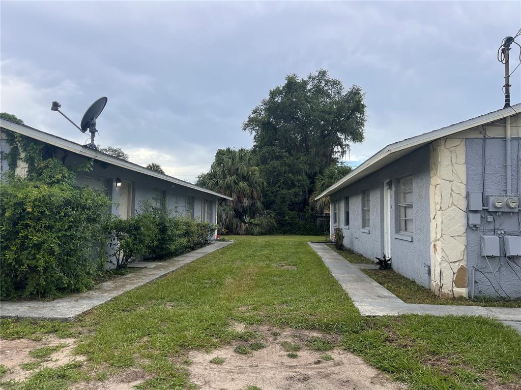 a backyard of a house with plants and tree