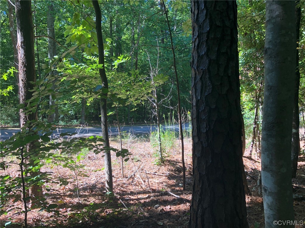 a view of lake from a tree