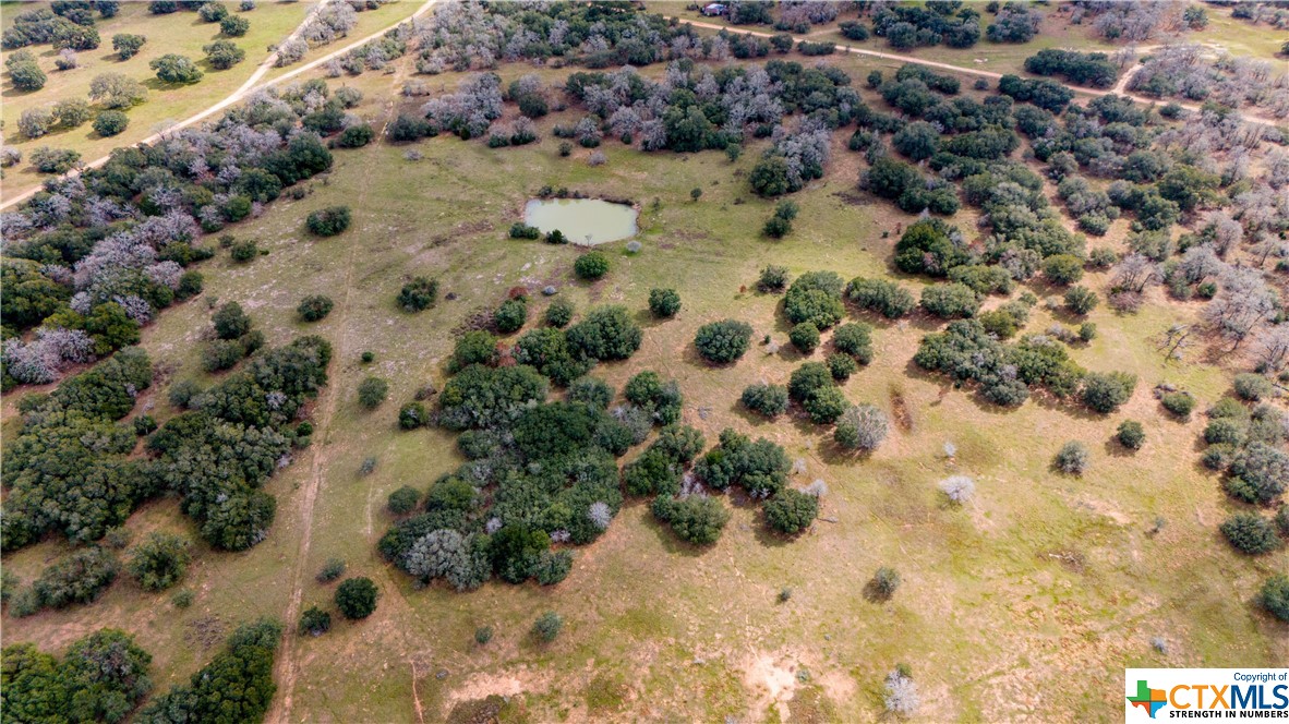 a view of a yard