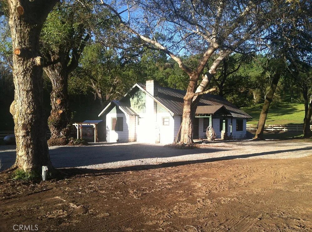 front view of a house with a large trees