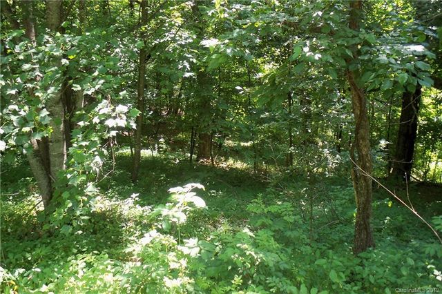 $85,000 | Lot 509 Multiflora Way | Jonathan Creek Township - Haywood County