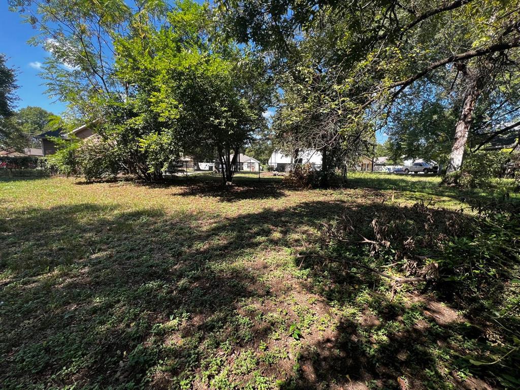 a view of a yard with trees