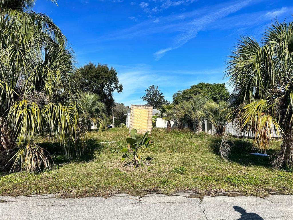 a view of a yard and front area