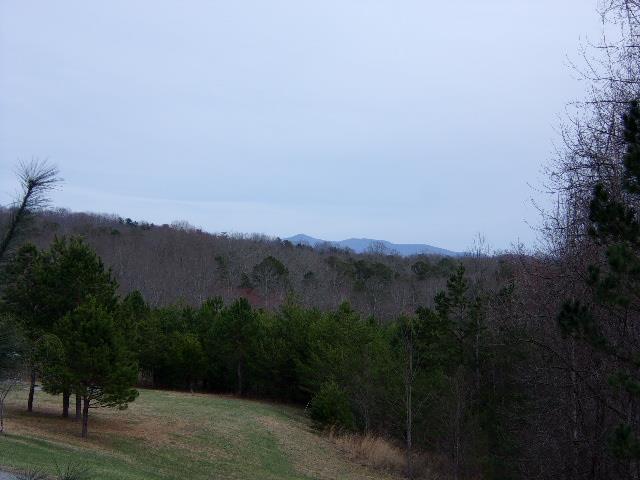 a view of a backyard of a house with a mountain