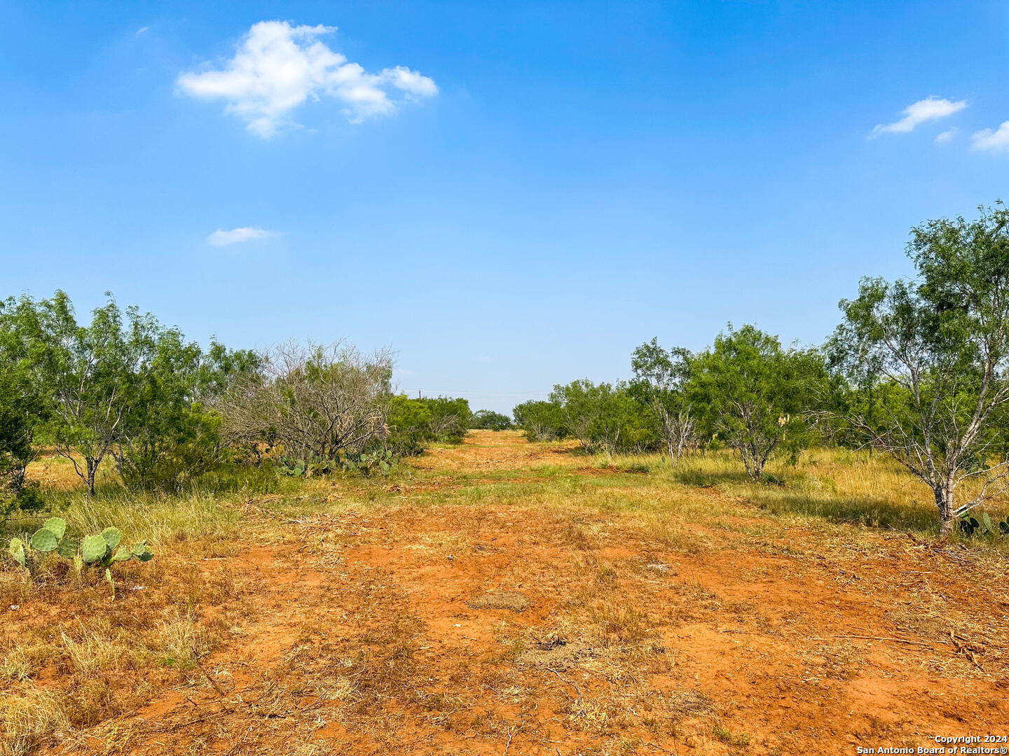 a view of a yard with a tree