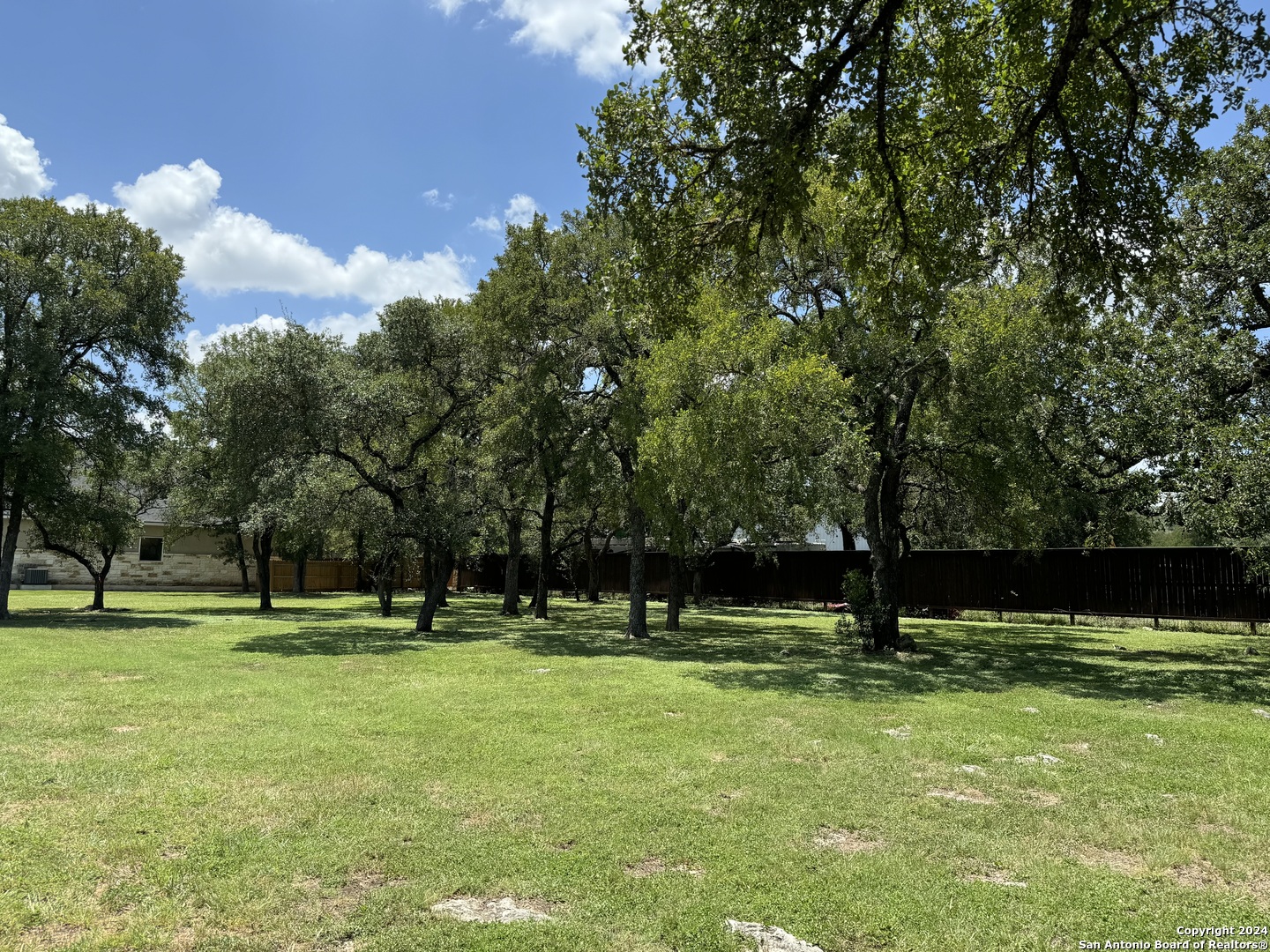 a view of park with trees