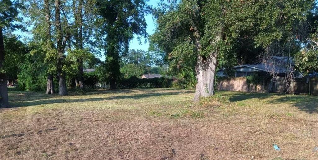 a view of a yard with plants and trees