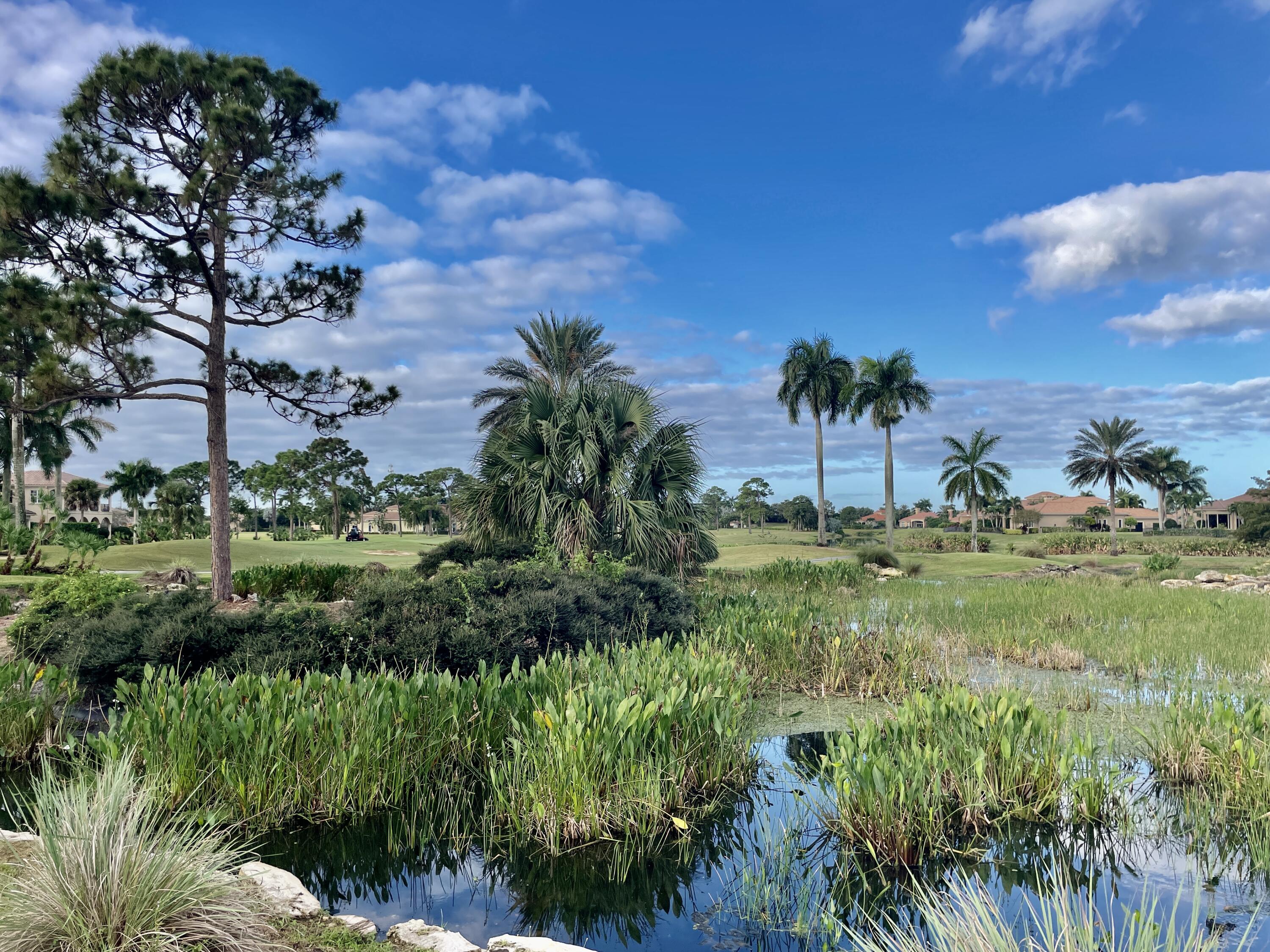 a view of a garden