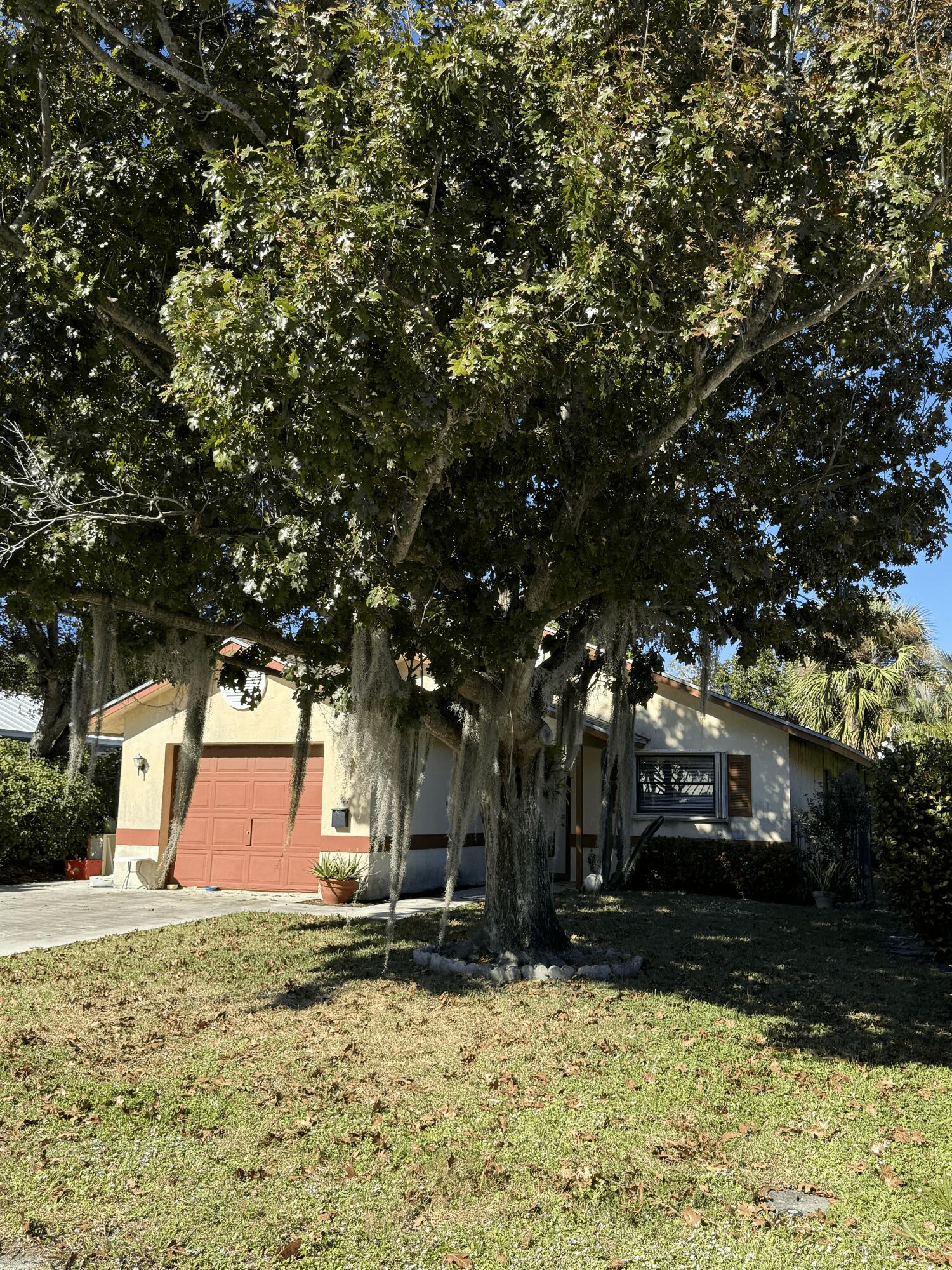 a view of a yard with a tree