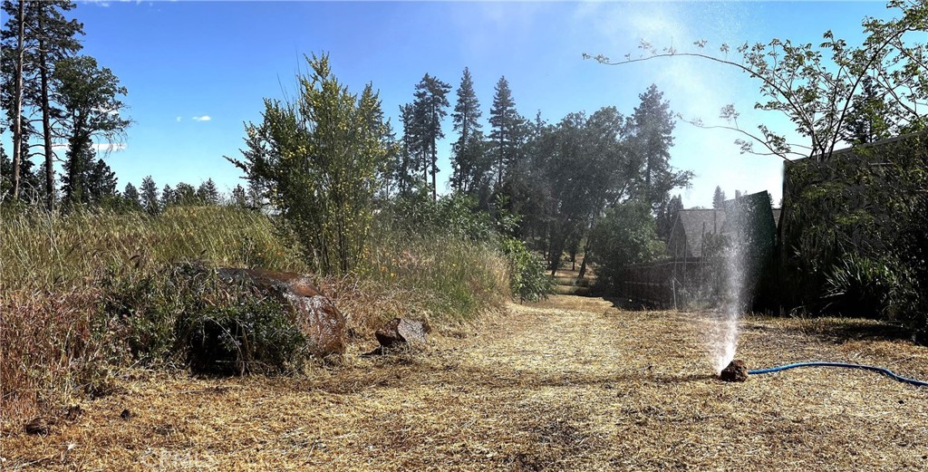 a view of a yard covered with snow in the background