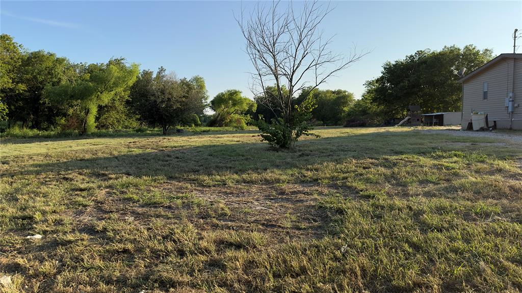 a view of a field with trees