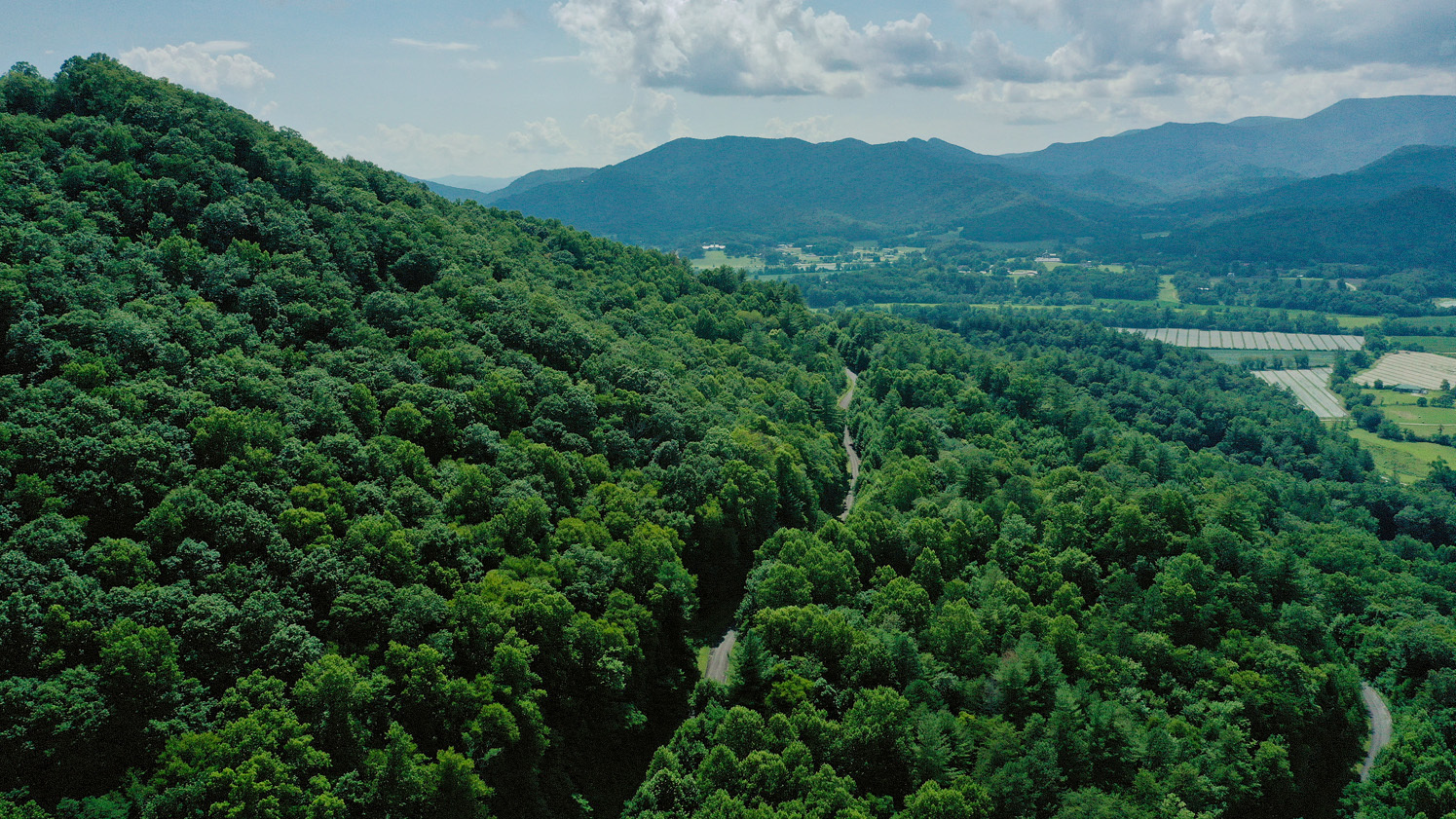 a view of a lush green hillside and a building in the background