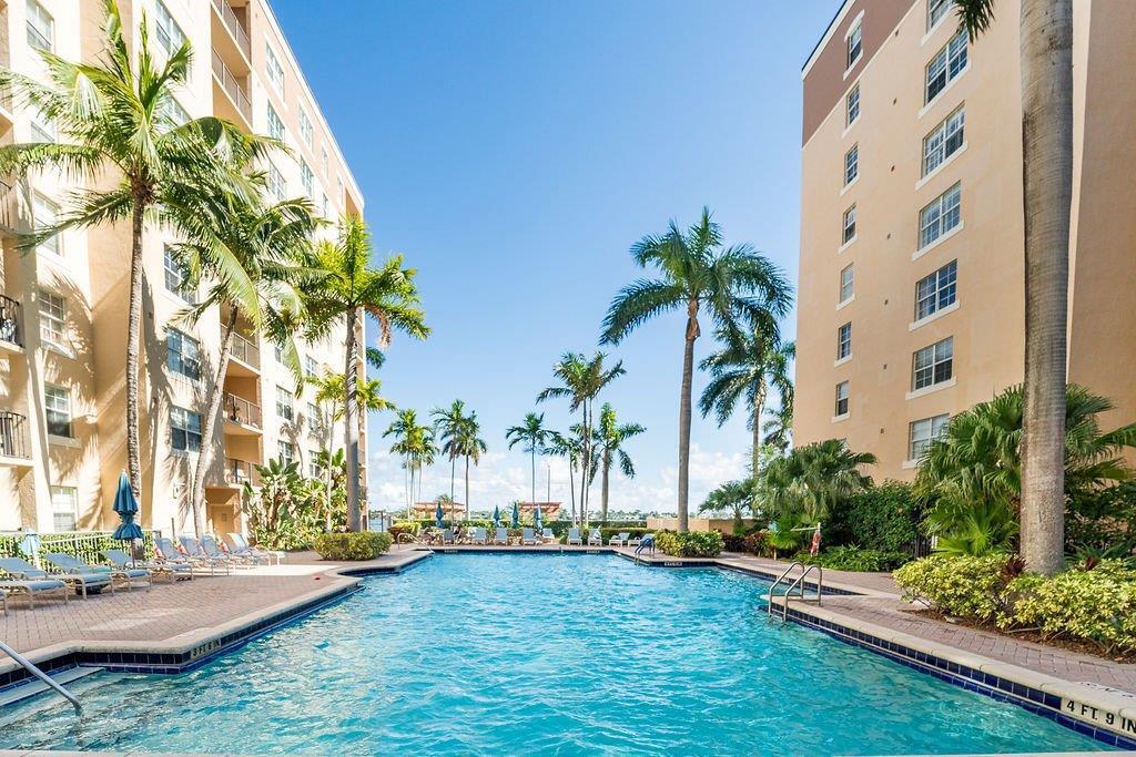 a view of a backyard with plants and palm trees