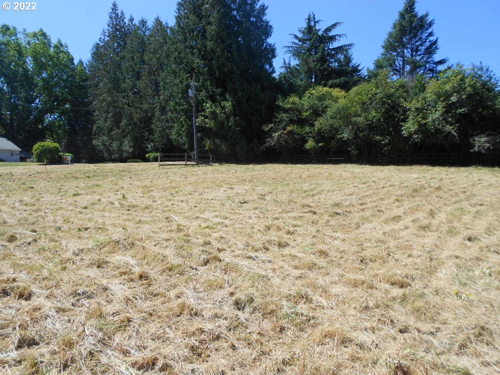 a view of empty space with mountain view