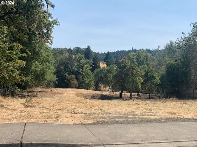 a view of a yard with trees in the background