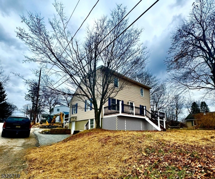 a view of a yard with a large tree