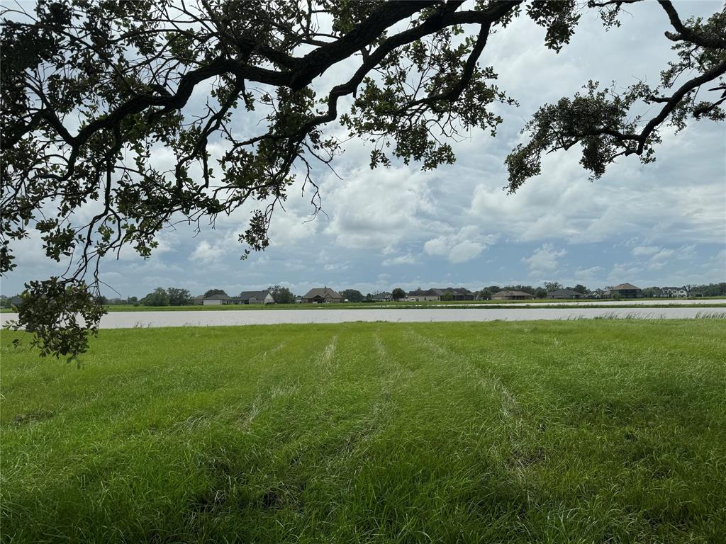 a view of a lush green field