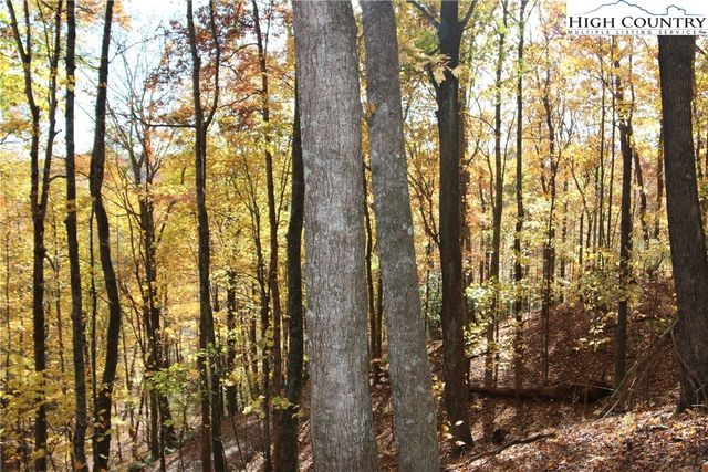 $25,000 | Lot 26 Dawn Warwick Road | Old Fields Township - Ashe County