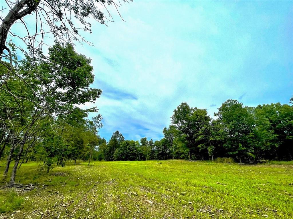 a view of field with trees in the background