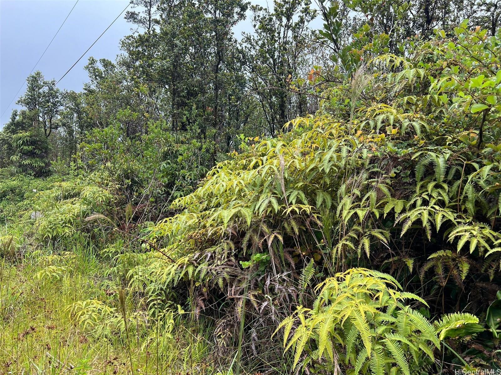 a view of a garden