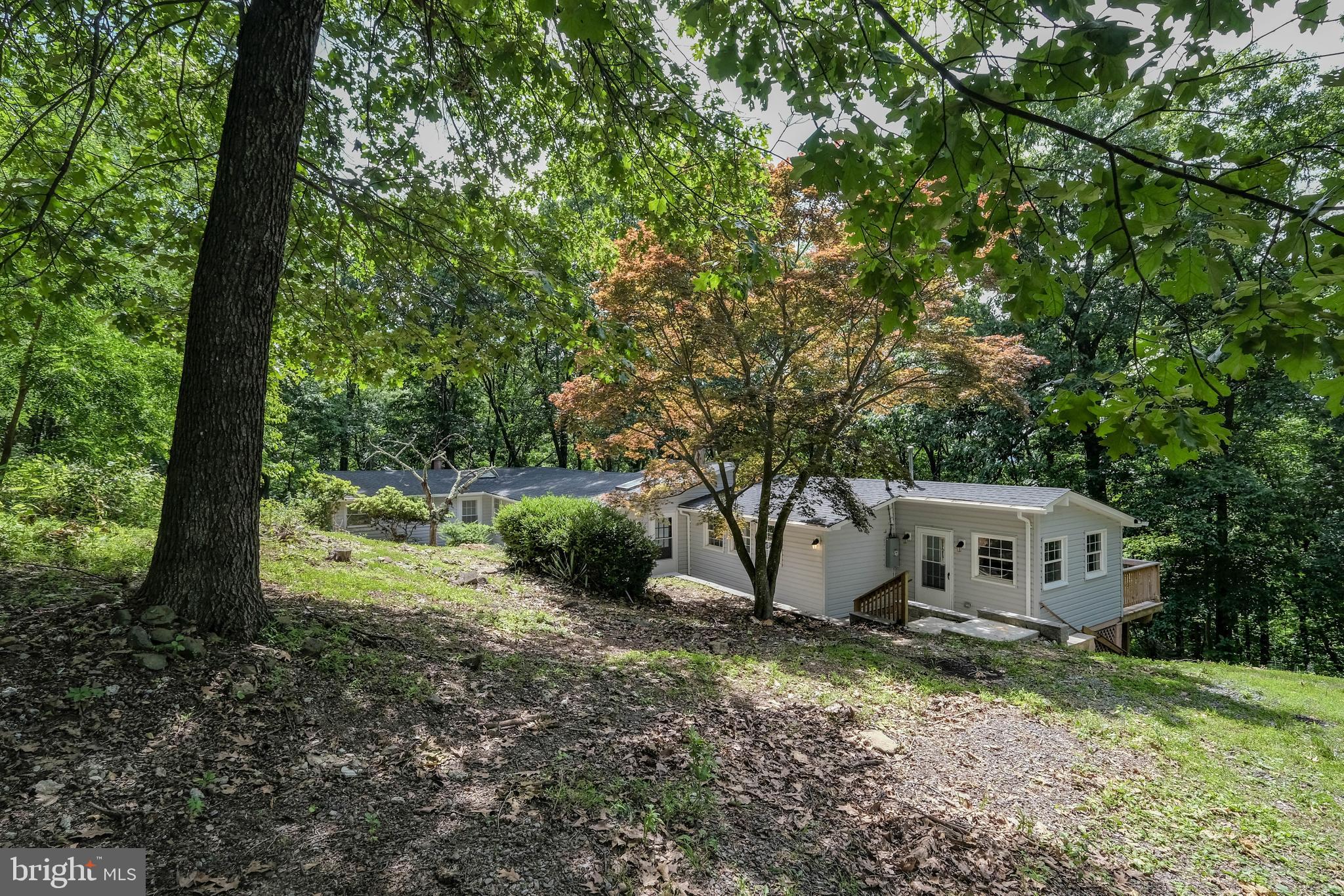 a house view with a backyard space