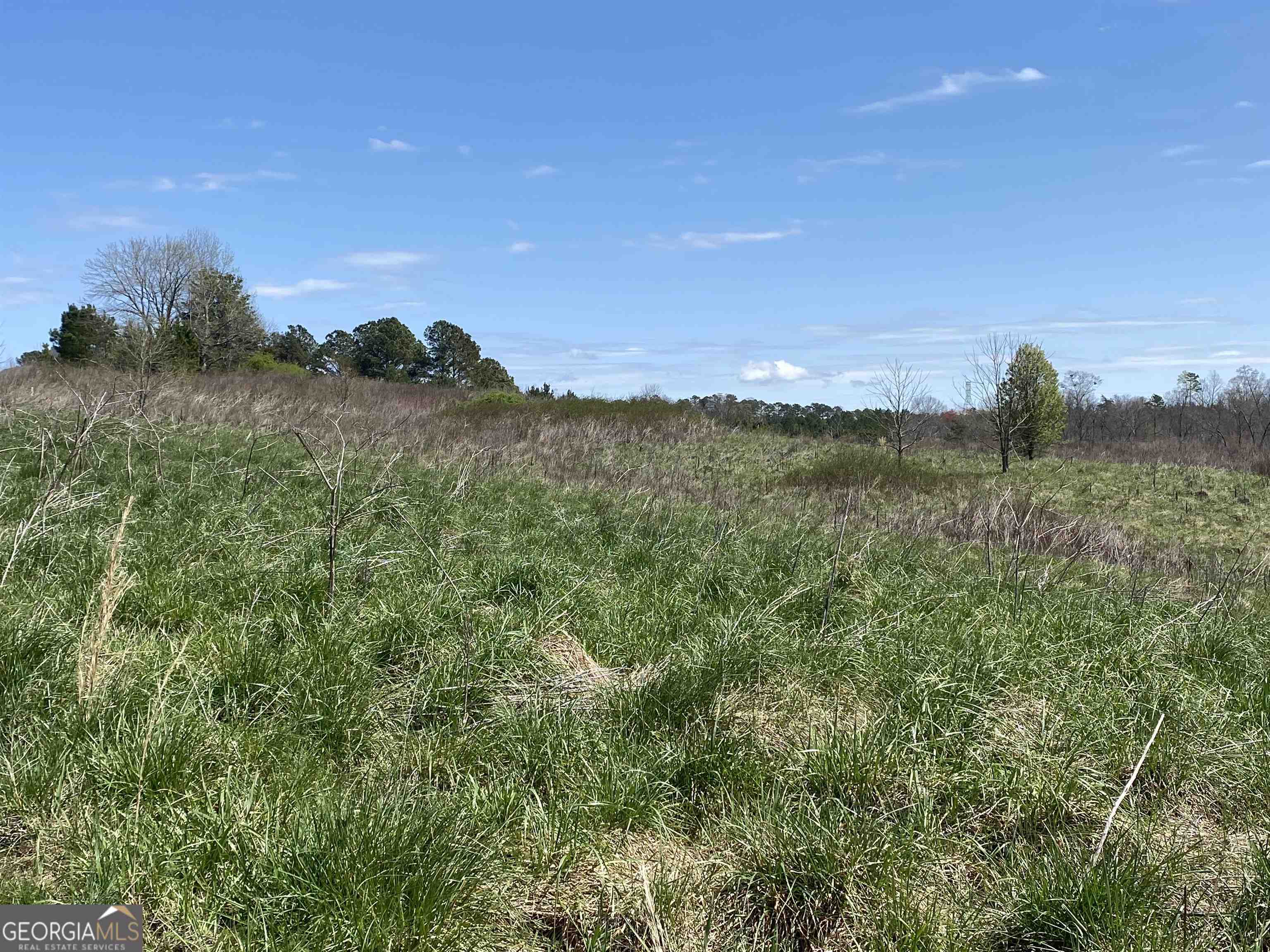 a view of a lake in a field