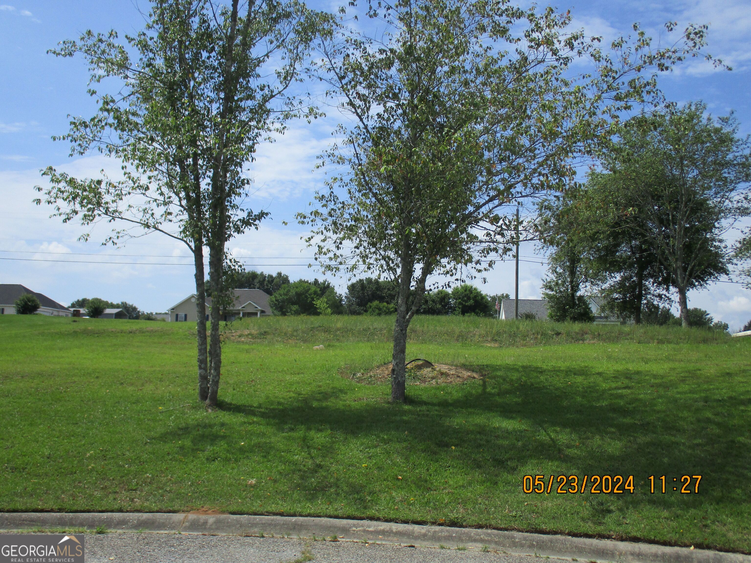 a view of a park with large trees