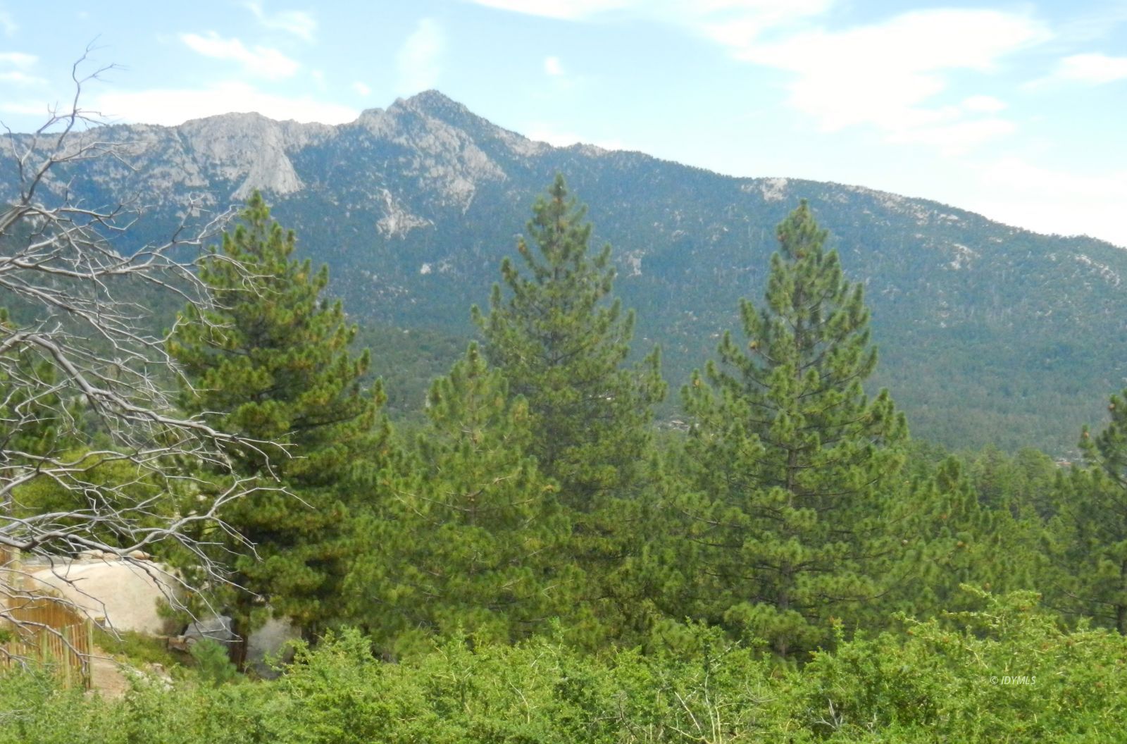 a view of a mountain in the distance in a field