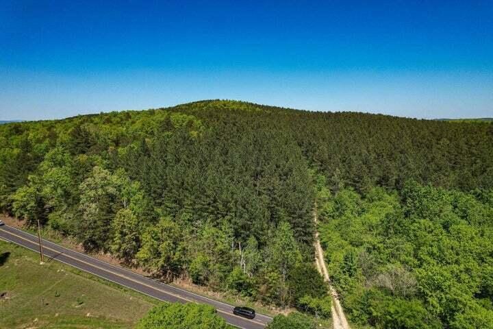 a view of a forest from a balcony