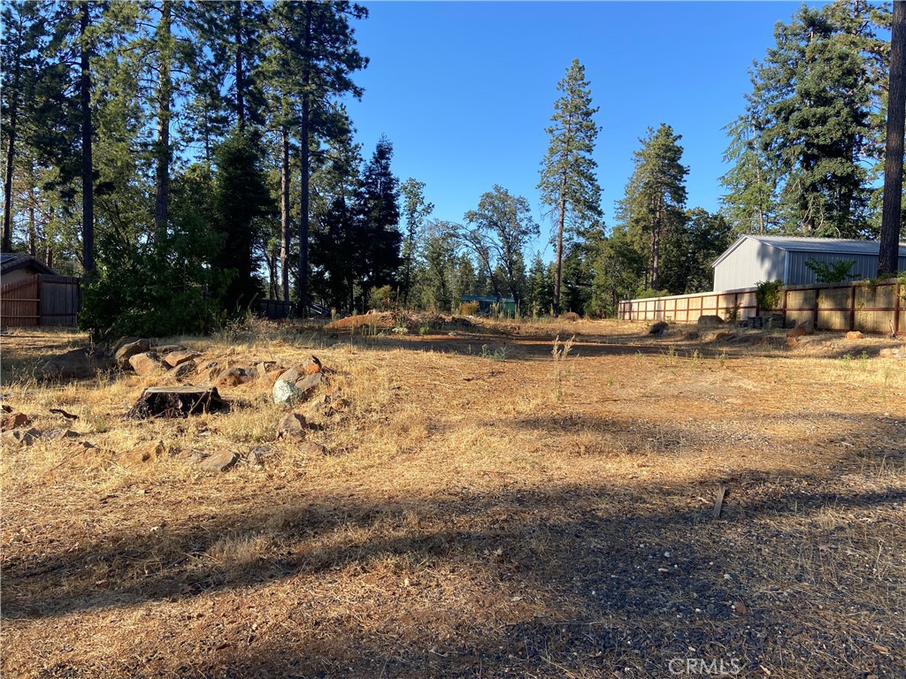 a view of a yard with a tree