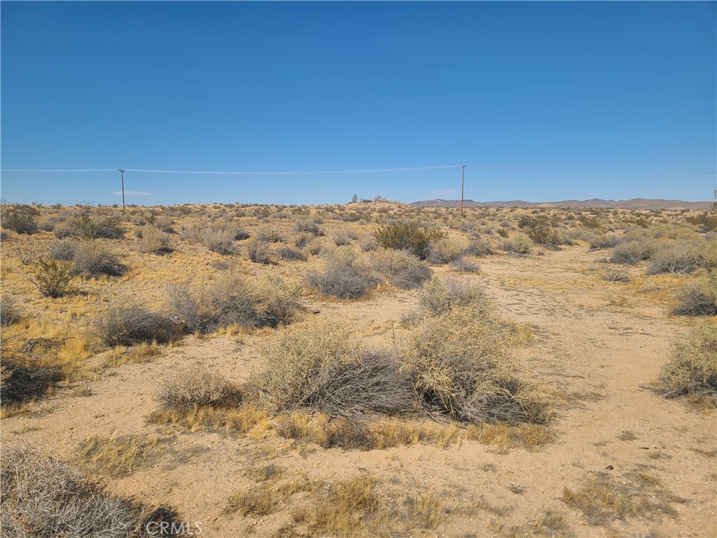 a view of a field with trees in the background