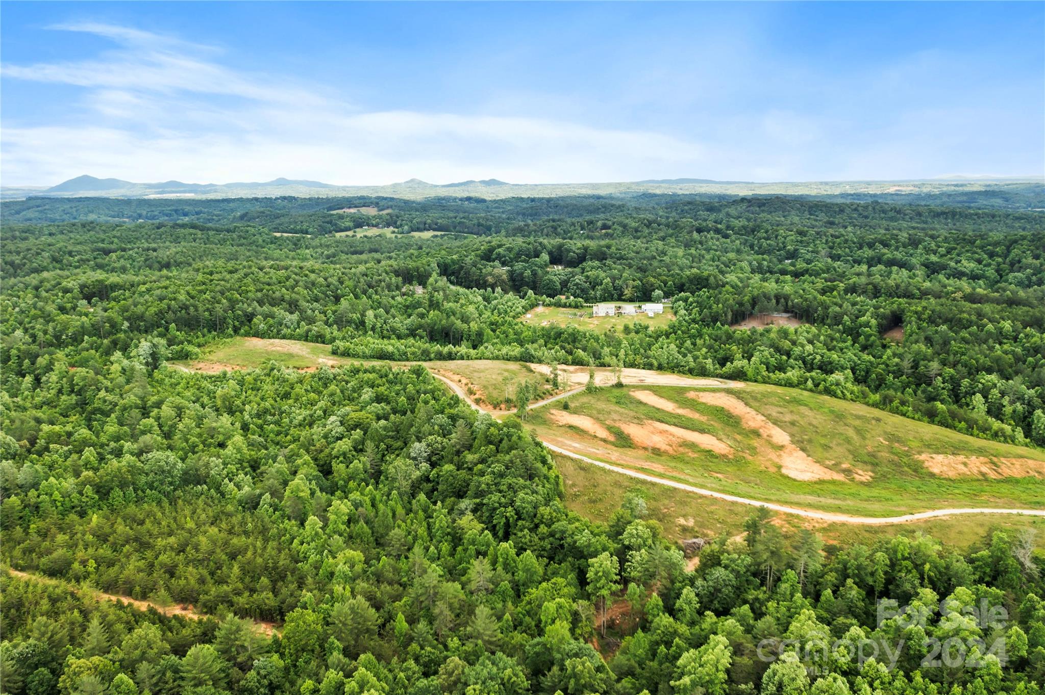 a view of a big yard with large trees