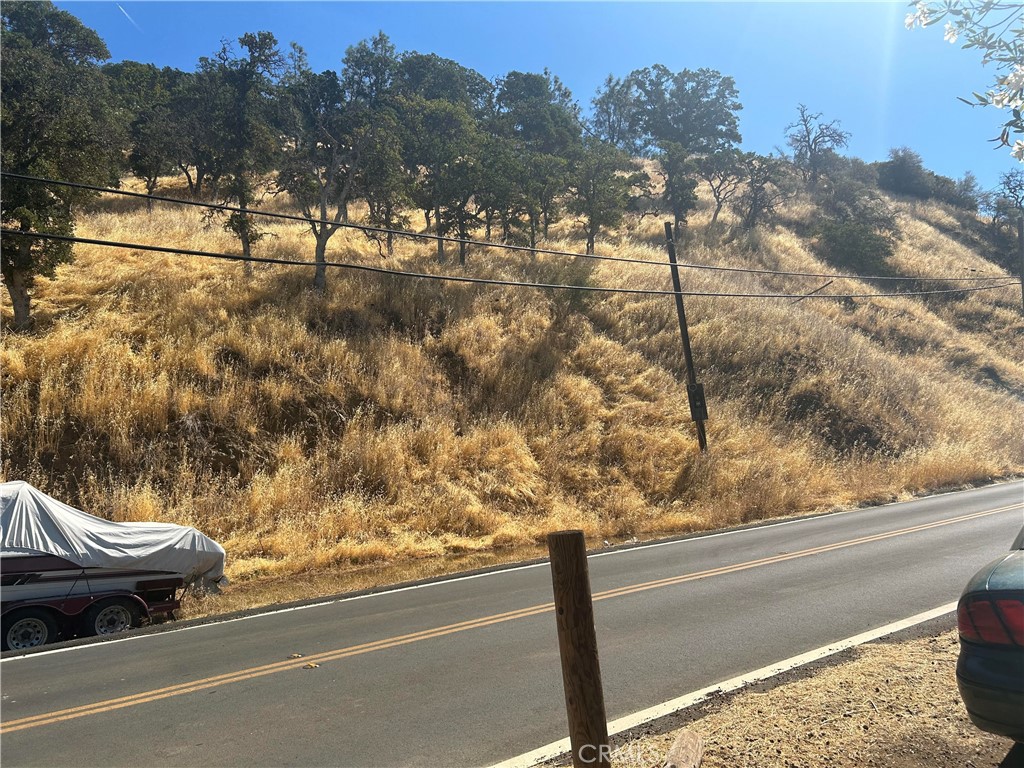 a view of a yard and car parked on the road