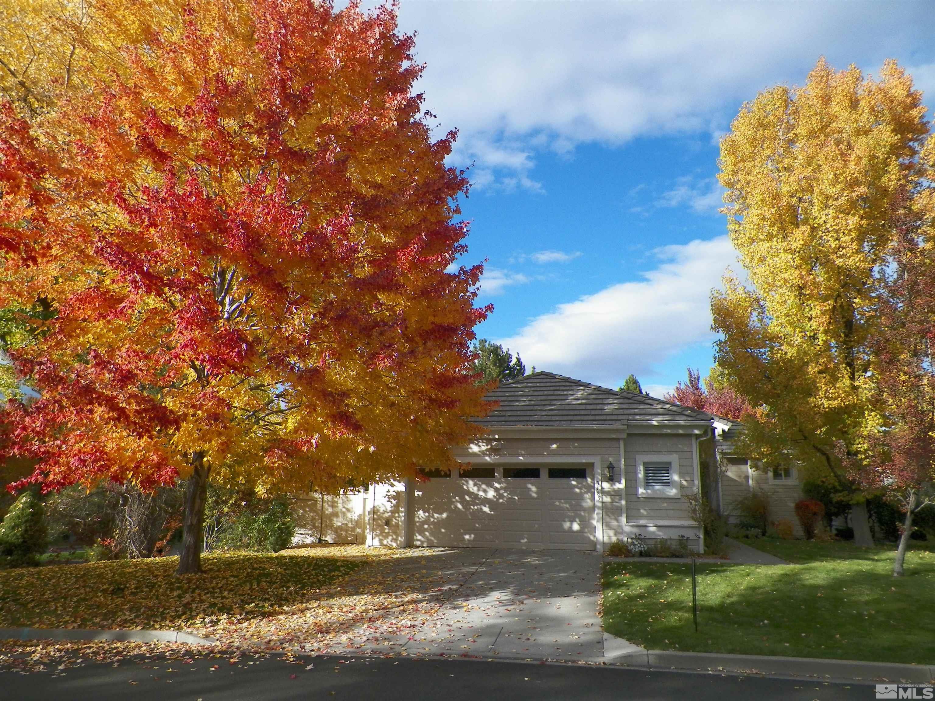 a view of house with yard