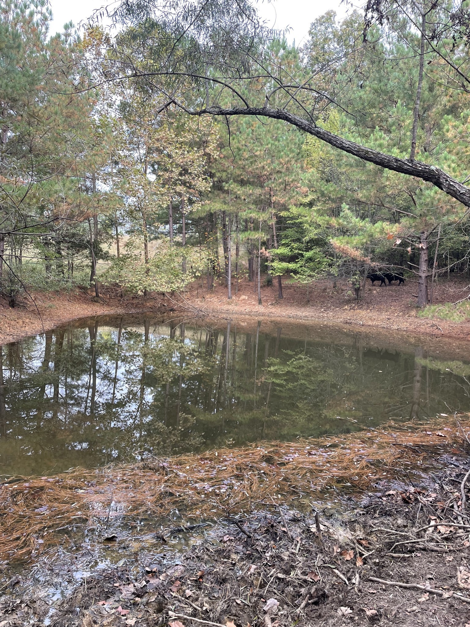 a view of a lake view