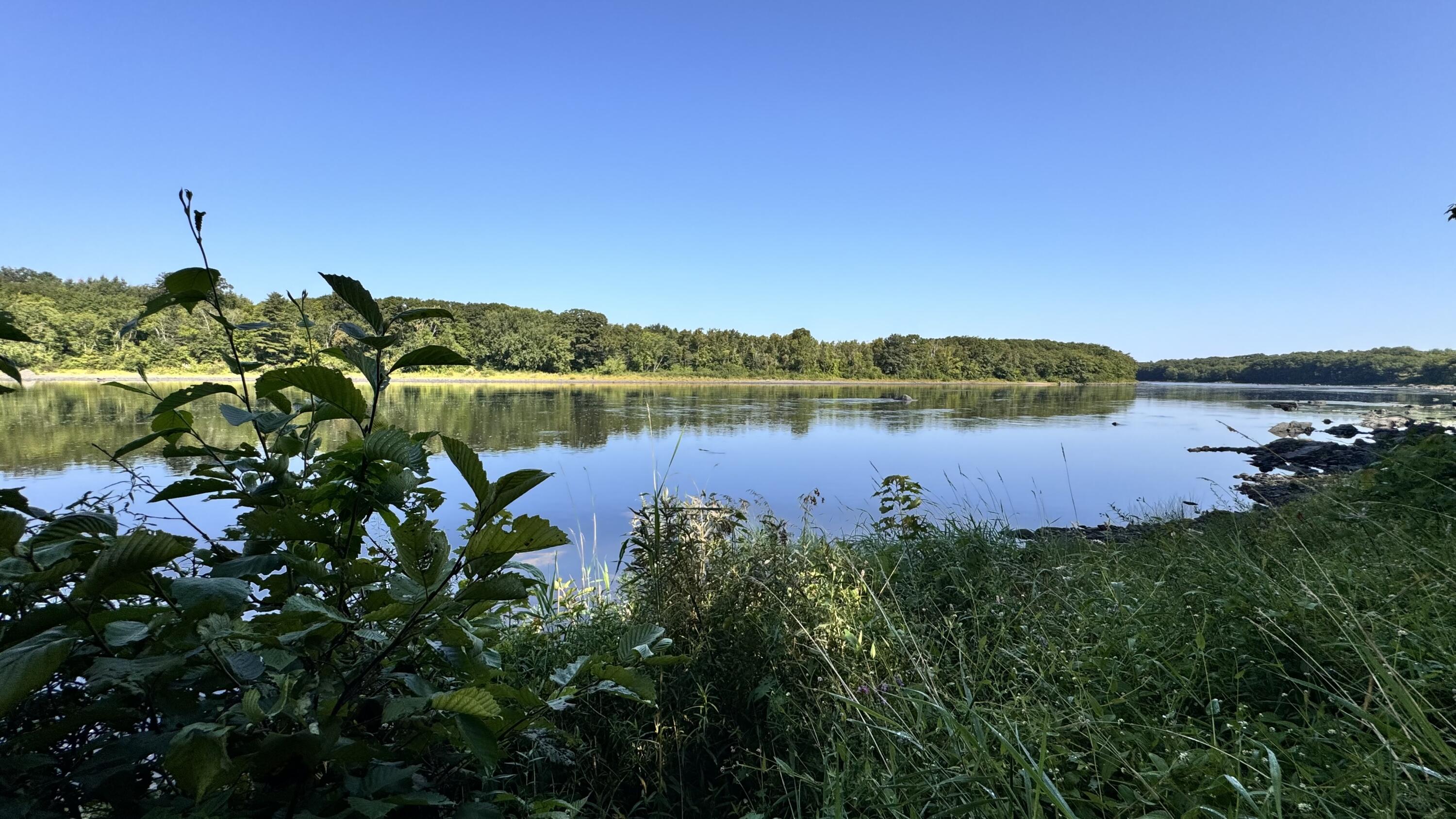 Penobscot River frontage